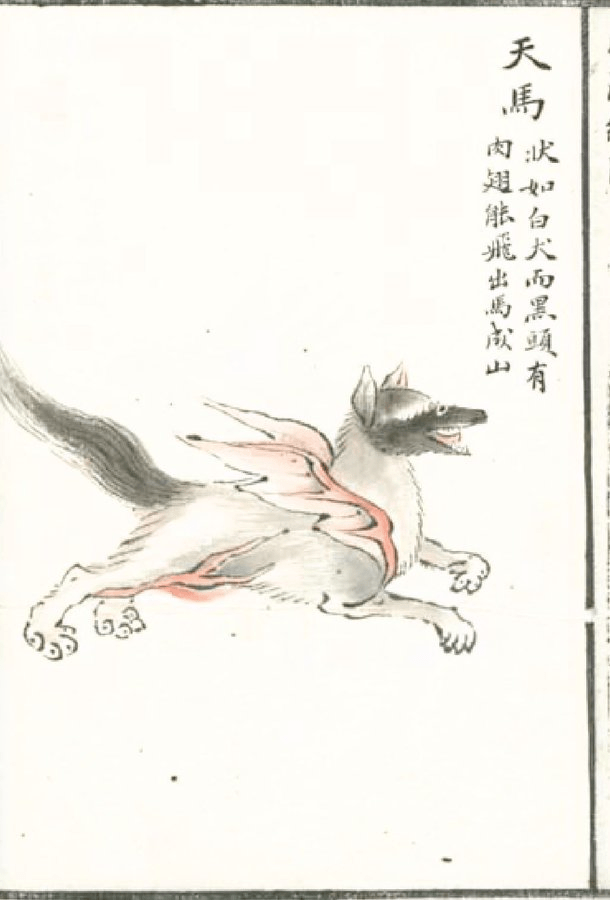 TianMa/SkyHorse天馬 - Chinese Mythology Beast: In Fact a Dog