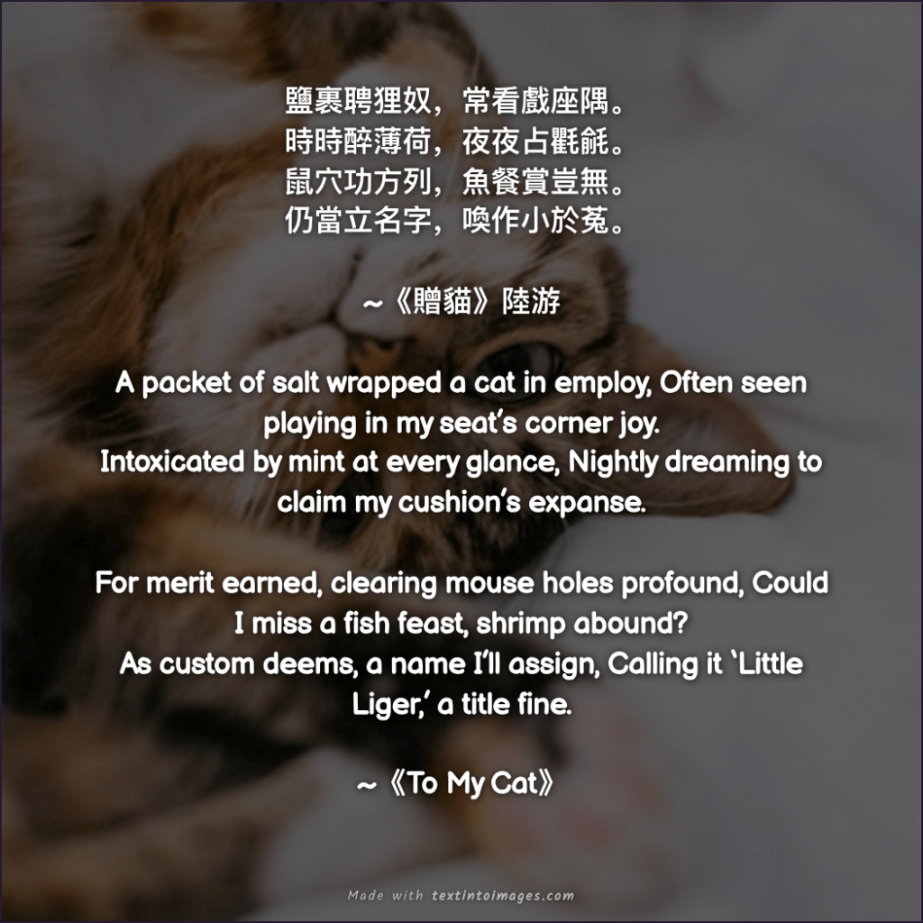 lu You cat poems "to my cat",
a translation of cat poems by Lu You