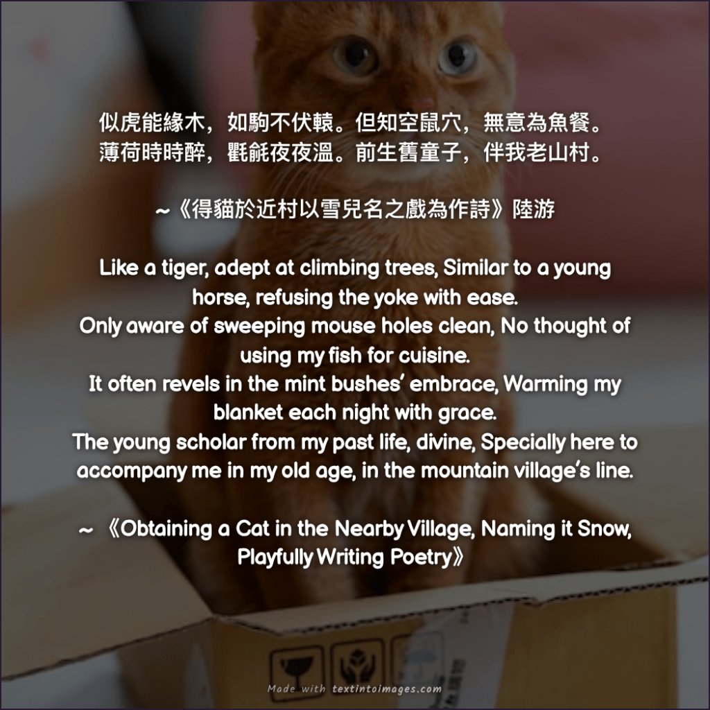 lu you cat poems: "obtaining a cat in the nearby village, naming it snow, playfullly writing poetry",
a translation of cat poems by Lu You
