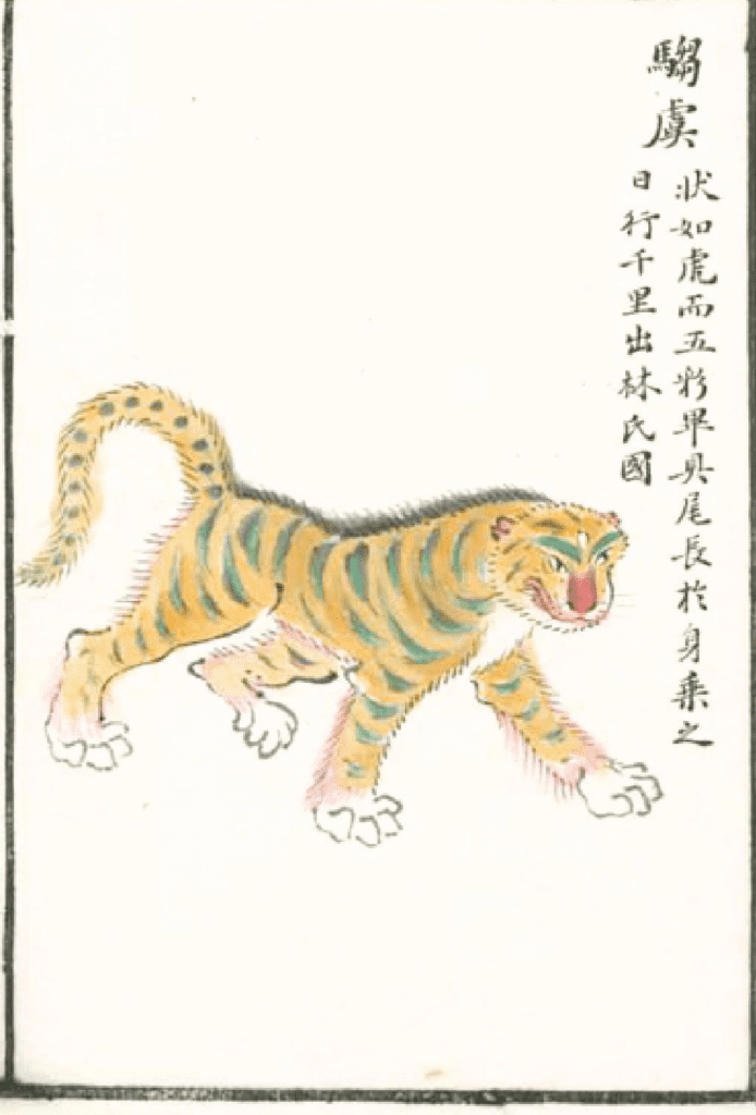 ZouWu/騶虞): It was as big as a tiger, with a colorful body and a tail longer than its body. The beast was named Zouwu(騶虞), and riding it could allow one to travel a thousand miles in a day.