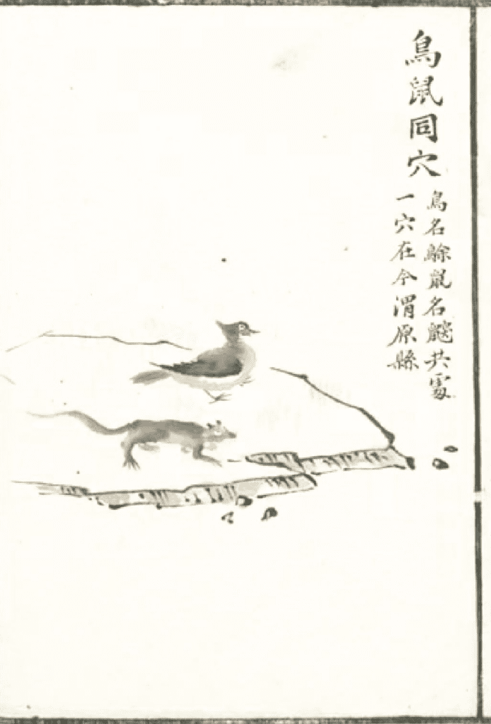 In the Classic of Mountains and Seas, it is written: 'A mountain where birds and mice live together, and where the Wei River flows out.' It is named after the birds and mice that live together in the same hole.