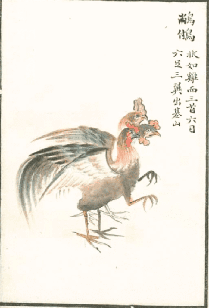ChangFu is a bird that lives in the mountains. It looks like a chicken, but it has three heads, six eyes, six legs, and three wings. If a person eats its meat, they will no longer want to sleep.