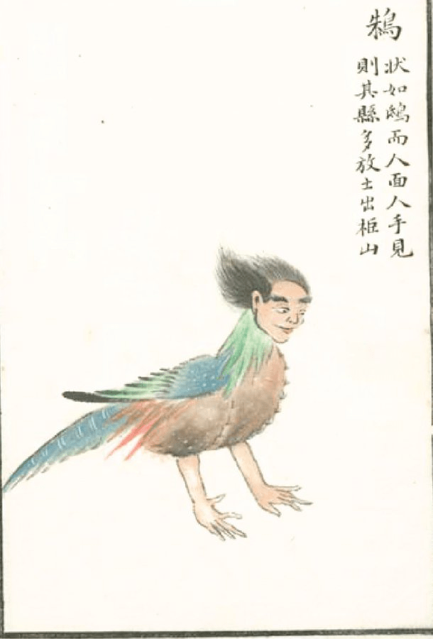 Zhu: There is a bird that looks like a hawk, but it has human hands. Its voice sounds like the buzzing of a fly. Its name is 鴸(Zhu). It calls out, as if it is calling its own name. Wherever this bird appears, many people in that county will be exiled.